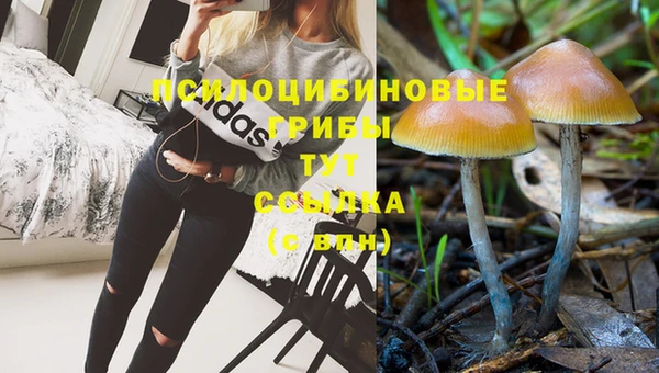 2c-b Всеволожск