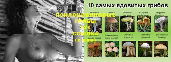 mdma Покачи