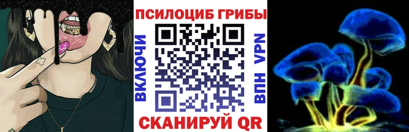 Псилоцибиновые грибы MAGIC MUSHROOMS Судогда